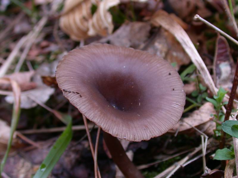 Prima escursione in montagna